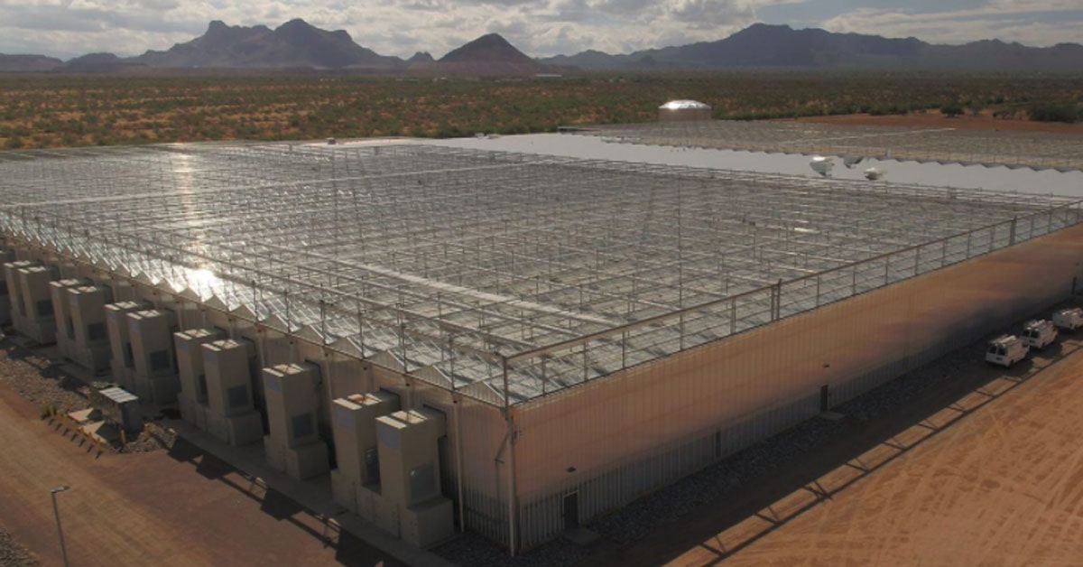 Greenhouses in a Very Warm and Desert Climates | Dutch Greenhouse Projects